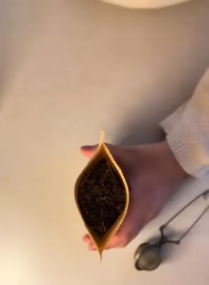 Tea Infuser